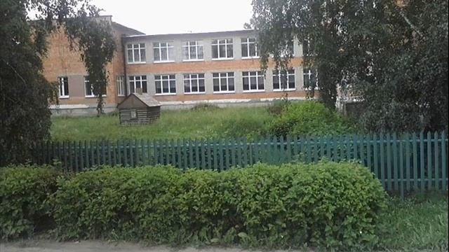 столин