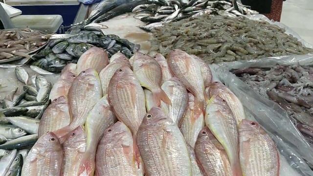 Deira Fish Market | Waterfront Market | Fish Market Dubai | UAE