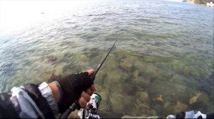 Поиски САРГАНА. Сукко. Ноябрь 2021 #fishing #рыбалка #сарган