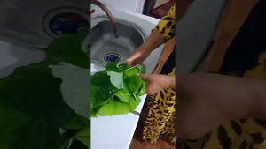 Кәріғыз, немесе шонайна, немесе түйежапырақ көптеген ауыруға ем екен.