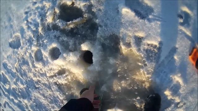 НАЛИМ ПО ПЕРВОМУ ЛЬДУ. ЗАВЕРШЕНИЕ РЫБАЛКИ. ЧАСТЬ-4. смотреть онлайн