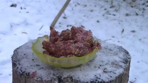 Легендарный обзор на белорусскую тушёнку с котом