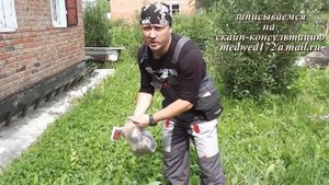 как вычесывать собаку