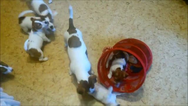 Игры перед сном смотреть онлайн