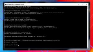 DRIVER PNP WATCHDOG как исправить