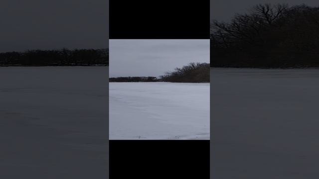 #живаяприрода #природа #зима
