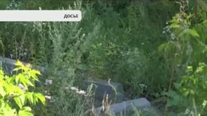 Выследили и столкнули в овраг. Дело Дарьи Махортовой