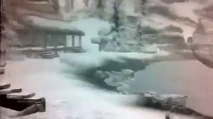 Скайрим как завести детей