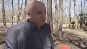 В Пятигорске вновь истребляют деревья - на ул. Московской вырублен подлесок