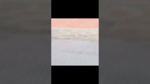 Идём со школы