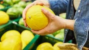 ДЫНЯ. КАК ВЫБРАТЬ СПЕЛУЮ И СОЧНУЮ? ВСЕ СЕКРЕТЫ ВЫБОРА