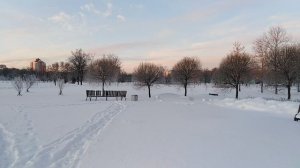 Розовое мартовские утро в Петербурге