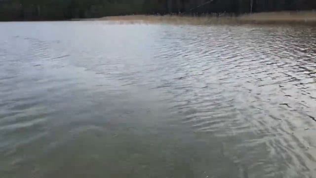 Открытие рыболовного сезона 2018 года смотреть онлайн