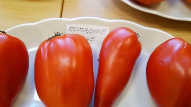 Редкие и экзотические томаты с выставки!!!