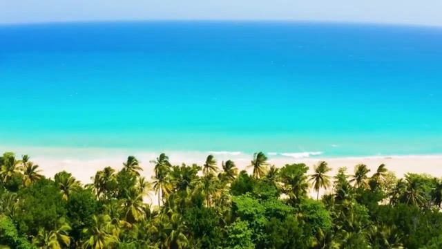 133. Ответы на вопросы (Из чата "Общение с Леной Калашниковой") смотреть онлайн