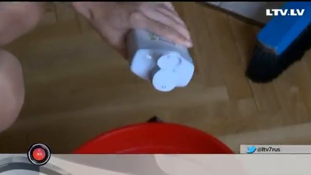 Блохи