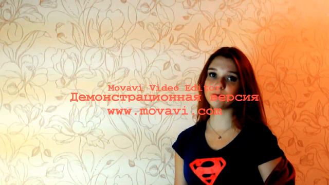 Супер вумен. Концепция идеальной бюрократии Макса Вебера