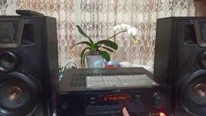 проверка Yamaha rx-v463