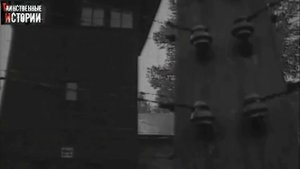 12-летний УЗНИК ОСВЕНЦИМА, Воспоминания Анатолия Ванукевича. "Мы живы на этих страницах", 3 серия
