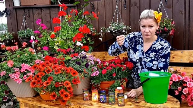Как укоренить ПЕТУНИЮ, черенкование цветов с препаратом Радигрин