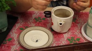 Мята Дома Круглый Год! Сеем Мяту на Рассаду.