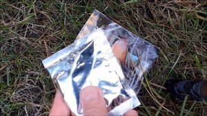 Выращивание грибов из семян