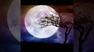 ЭТО НУЖНО СДЕЛАТЬ В ПОЛНОЛУНИЕ / ПЕРЕСЧИТАЙТЕ ДЕНЬГИ В КОШЕЛЬКЕ / ОБРЯД В ПОЛНОЛУНИЕ / НА ПРИБЫЛЬ /