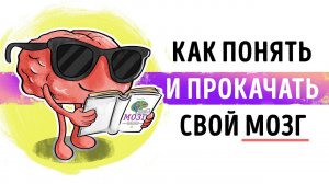 «Мозг. Инструкция по применению». Дэвид Рок | Саммари ®