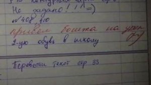 Самые смешные записи в дневниках