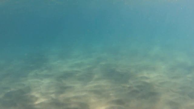Fujairah. Miramar hotel beach. Пляж отеля Мирамар.