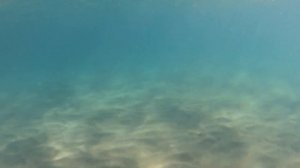 Fujairah. Miramar hotel beach. Пляж отеля Мирамар.