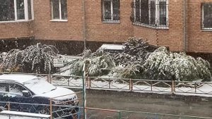 А за окном первый снег 28 09 2022