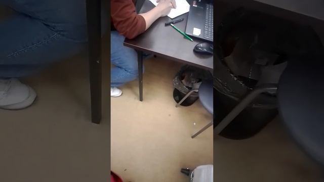 Как работается карьерам в доставке Самокат - Рабство смотреть онлайн