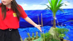 Попали На Необитаемый Остров На 24 Часа Челлендж !