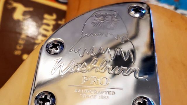 Home-Built Double-Neck Guitar Mako/Washburn Guitarchaeology смотреть онлайн