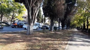 Центр Адлера от Взлетной до парка.