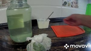 КВАС ПО БОЛОТОВУ на чистотеле РЕЦЕПТ