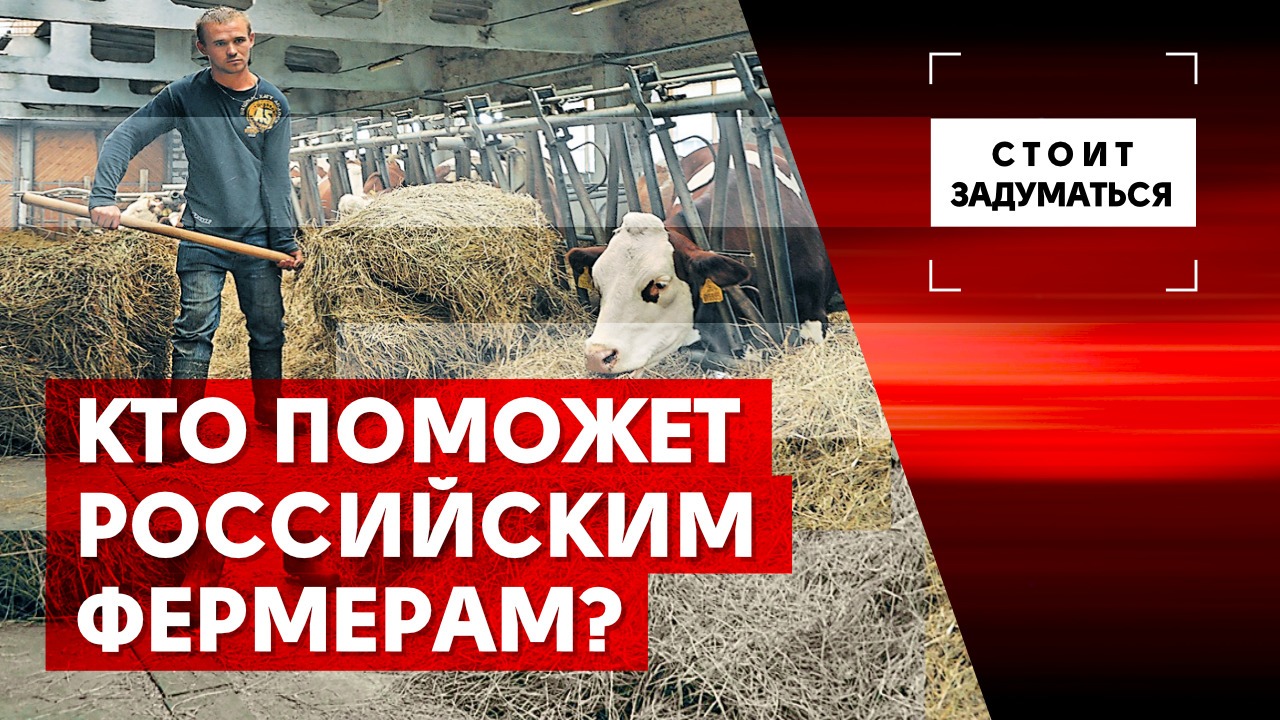 Кто поможет российским фермерам?