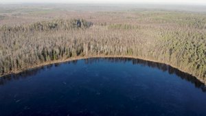 Озеро Драчково - Загадочное озеро в Переславских лесах / Красивые места / Переславль Залесский.