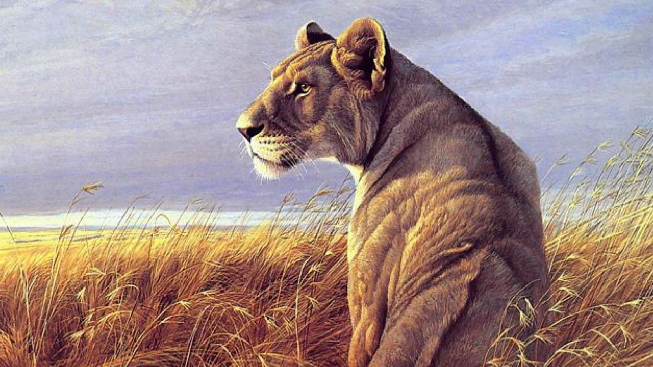 Проект Матвея Ершова, 9 класс