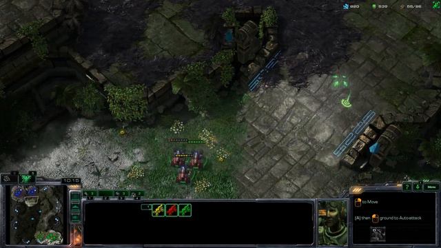 [Sc2] Gold TvZ смотреть онлайн