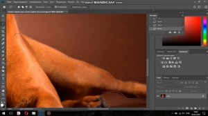 Инструмент Лассо в Фотошопе Урок 9