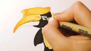 Двурогий Калао- Одна из Самых Больших Птиц на Земле! Рисуем Карандашом! Легко и Просто!