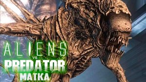 УЛЕЙ И МАТКА ЧУЖИХ - ALIEN vs PREDATOR Прохождение #2