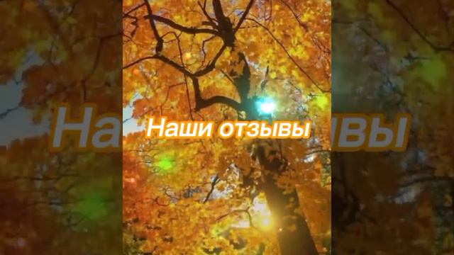клип мастера света