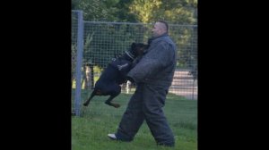 Защита хозяина.mp4