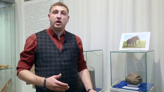 От мезозоя до антропогена