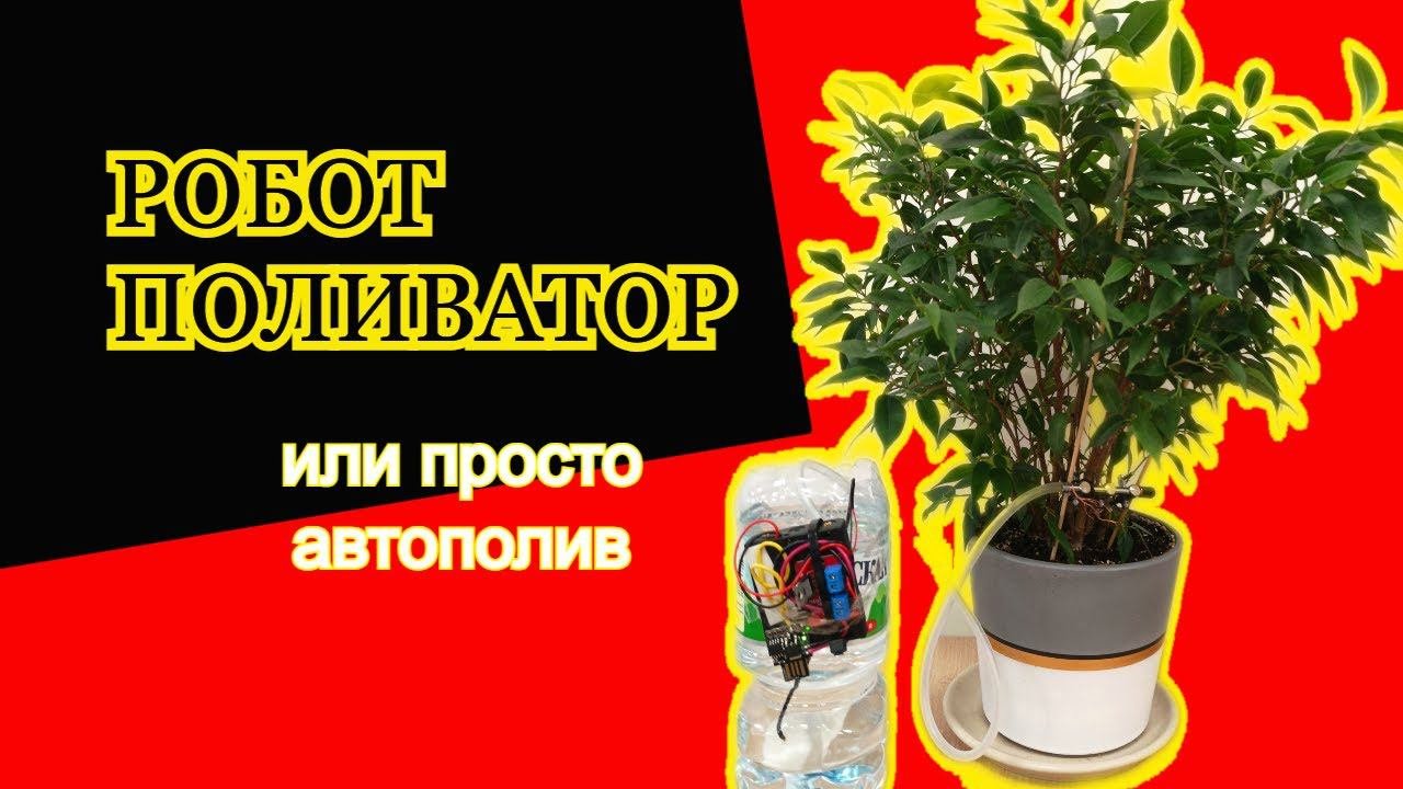 Автополив для цветов