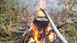 Лесной чай, рецепт, чай на травах