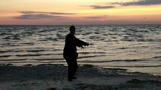 18 Forms Of Chen Family Taijiquan / 18 форм тайцзицюань семьи Чэнь